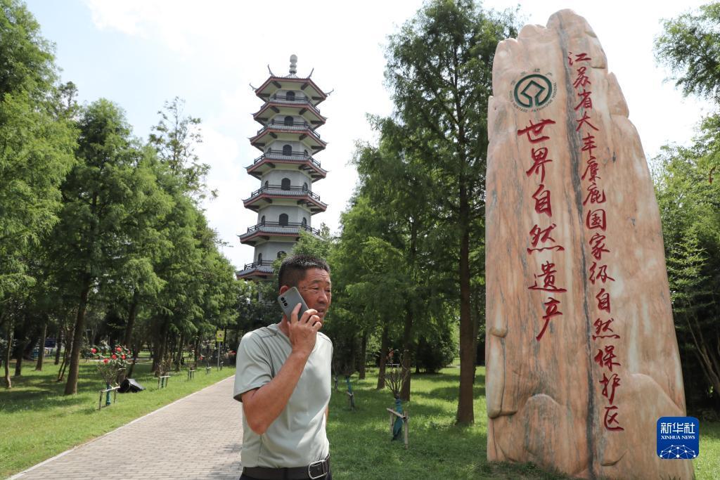 云顶网站好多